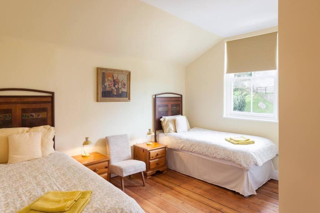 Merlin Court Ilfracombe Luaran gambar
